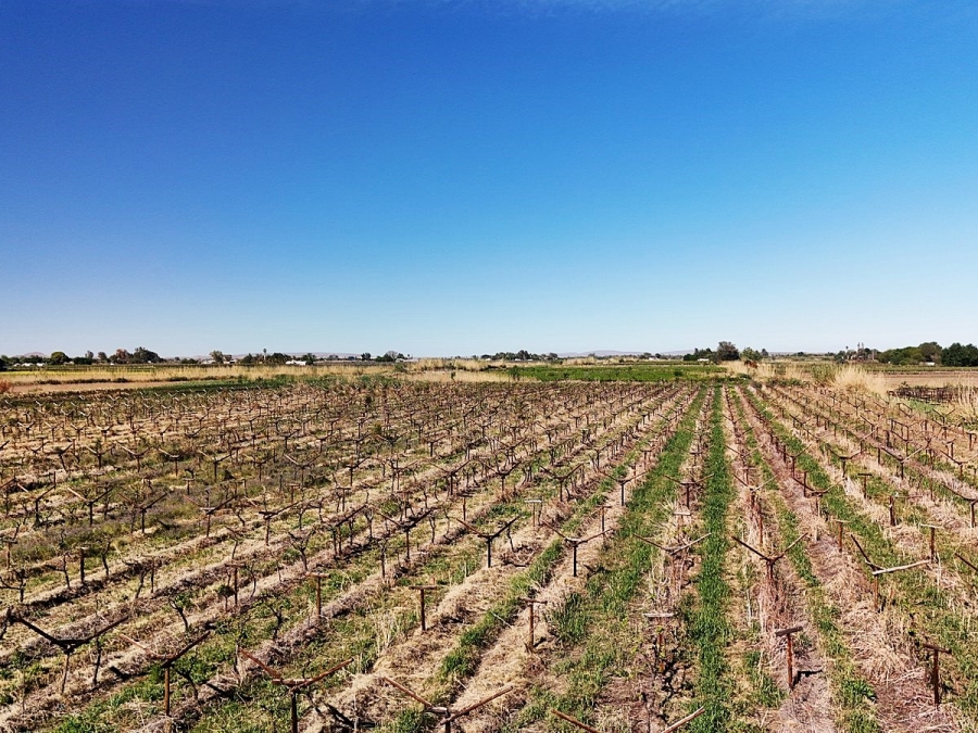 Commercial Property for Sale in Keimoes Rural Northern Cape